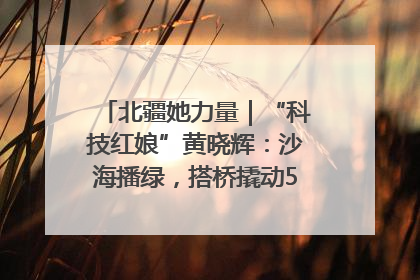 北疆她力量｜“科技红娘”黄晓辉：沙海播绿，搭桥撬动5.3亿研发
