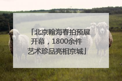 北京翰海春拍预展开幕，1800余件艺术珍品亮相京城