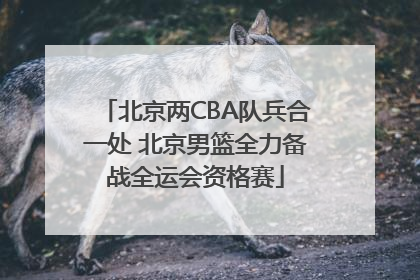 北京两CBA队兵合一处 北京男篮全力备战全运会资格赛