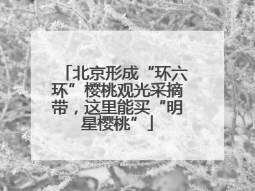 北京形成“环六环”樱桃观光采摘带，这里能买“明星樱桃”