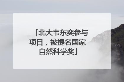 北大韦东奕参与项目，被提名国家自然科学奖