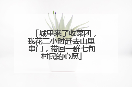 城里来了收菜团，我花三小时赶去山里串门，带回一群七旬村民的心愿