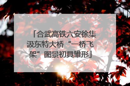 合武高铁六安徐集汲东特大桥“一桥飞架”图景初具雏形