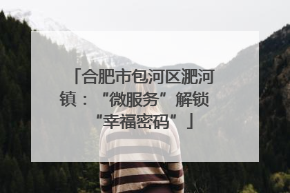 合肥市包河区淝河镇：“微服务”解锁“幸福密码”