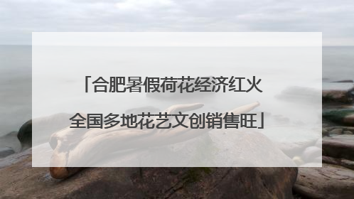 合肥暑假荷花经济红火 全国多地花艺文创销售旺