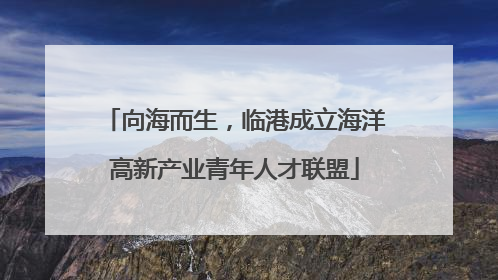 向海而生，临港成立海洋高新产业青年人才联盟