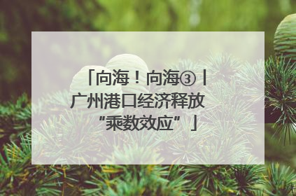 向海！向海③丨广州港口经济释放“乘数效应”
