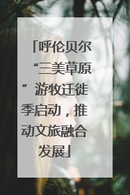 呼伦贝尔“三美草原”游牧迁徙季启动，推动文旅融合发展