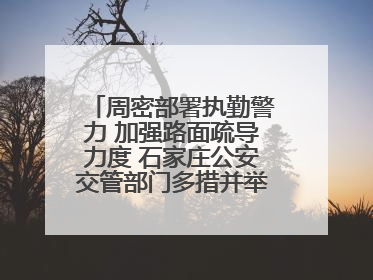 周密部署执勤警力 加强路面疏导力度 石家庄公安交管部门多措并举确保考点周边交通环境良好