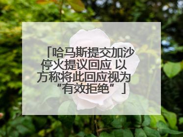 哈马斯提交加沙停火提议回应 以方称将此回应视为“有效拒绝”