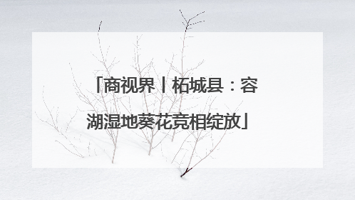商视界丨柘城县：容湖湿地葵花竞相绽放