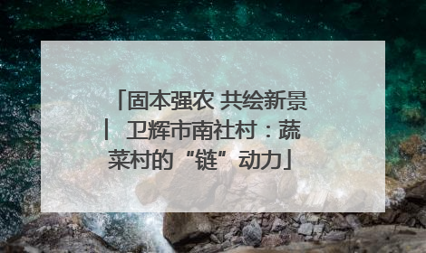固本强农 共绘新景 ︳卫辉市南社村：蔬菜村的“链”动力