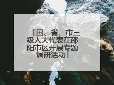 国、省、市三级人大代表在邵阳市区开展专题调研活动