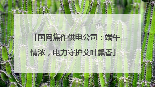 国网焦作供电公司：端午情浓，电力守护艾叶飘香