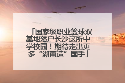 国家级职业篮球双基地落户长沙这所中学校园！期待走出更多“湖南造”国手