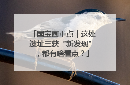 国宝画重点｜这处遗址三获“新发现”，都有啥看点？