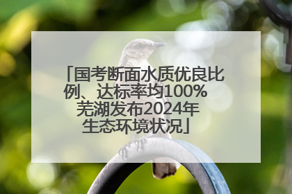 国考断面水质优良比例、达标率均100% 芜湖发布2024年生态环境状况