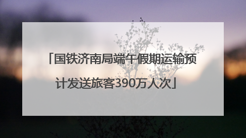 国铁济南局端午假期运输预计发送旅客390万人次