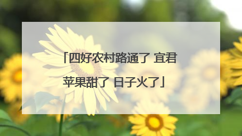 四好农村路通了 宜君苹果甜了 日子火了