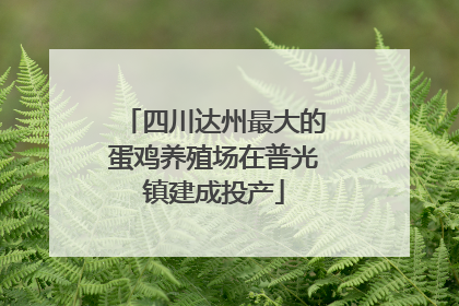 四川达州最大的蛋鸡养殖场在普光镇建成投产