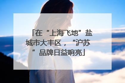 在“上海飞地”盐城市大丰区，“沪苏”品牌日益响亮