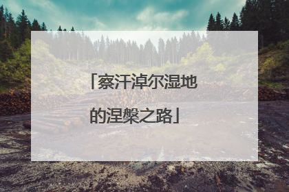 察汗淖尔湿地的涅槃之路