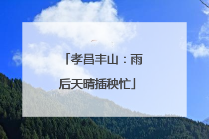 孝昌丰山：雨后天晴插秧忙