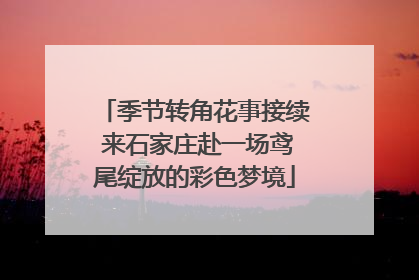 季节转角花事接续 来石家庄赴一场鸢尾绽放的彩色梦境