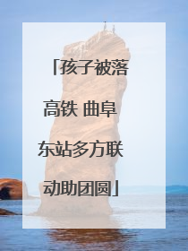 孩子被落高铁 曲阜东站多方联动助团圆