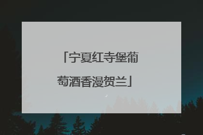 宁夏红寺堡葡萄酒香漫贺兰