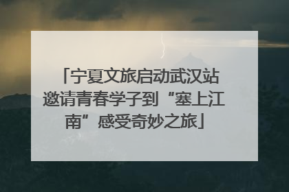宁夏文旅启动武汉站 邀请青春学子到“塞上江南”感受奇妙之旅