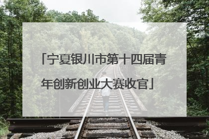宁夏银川市第十四届青年创新创业大赛收官