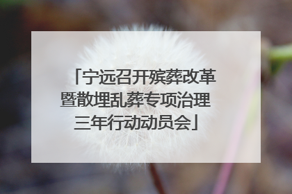 宁远召开殡葬改革暨散埋乱葬专项治理三年行动动员会