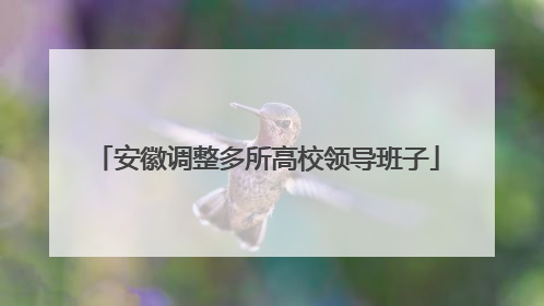 安徽调整多所高校领导班子