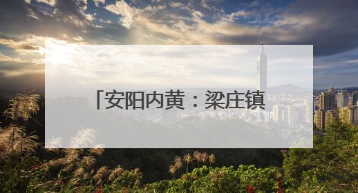 安阳内黄：梁庄镇特色蔬果亮相央视农业品牌甄选会