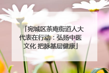 宛城区茶庵街道人大代表在行动：弘扬中医文化 把脉基层健康