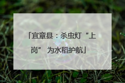 宜章县：杀虫灯“上岗” 为水稻护航