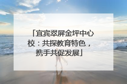宜宾翠屏金坪中心校：共探教育特色，携手共促发展