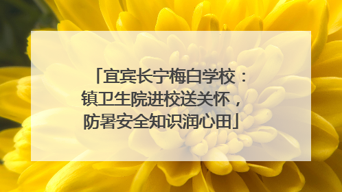 宜宾长宁梅白学校：镇卫生院进校送关怀，防暑安全知识润心田