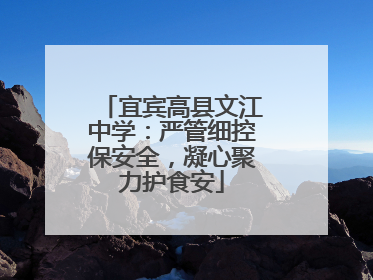 宜宾高县文江中学：严管细控保安全，凝心聚力护食安
