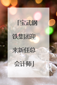 宝武钢铁集团迎来新任总会计师