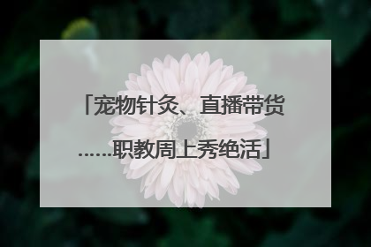 宠物针灸、直播带货……职教周上秀绝活
