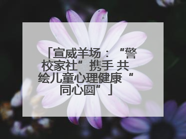 宣威羊场：“警校家社”携手 共绘儿童心理健康“同心圆”