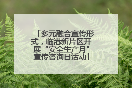 多元融合宣传形式，临港新片区开展“安全生产月”宣传咨询日活动