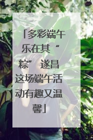 多彩端午 乐在其“粽” 遂昌这场端午活动有趣又温馨