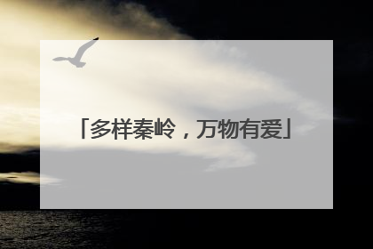 多样秦岭，万物有爱