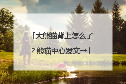 大熊猫背上怎么了？熊猫中心发文→
