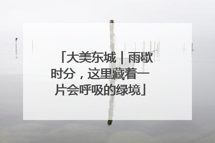 大美东城｜雨歇时分，这里藏着一片会呼吸的绿境
