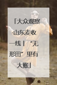 大众观察·山东麦收一线丨“无形田”里有大账