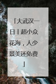 大武汉一日丨超小众花海，人少景美还免费